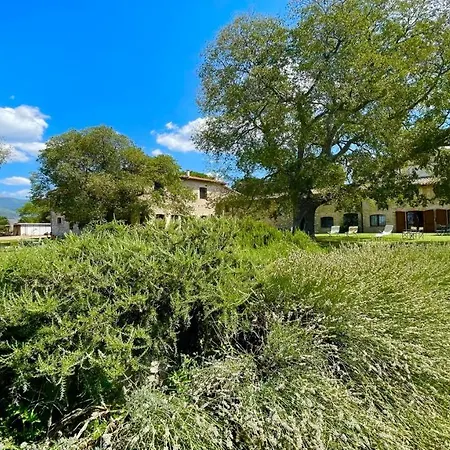 Bauernhof Exclusive Pool-open Year-spoleto Biofarm-slps 8-village Shops, Bar1 Km 5