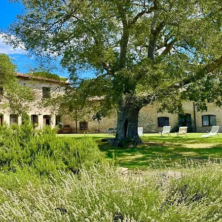 Exclusive Pool-open Year-spoleto Biofarm-slps 8-village Shops, Bar1 Km 5 Bauernhof *